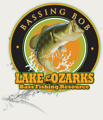 bassin bob